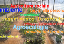 Presentato il bando “COLTIVARE VALORE” di FONDAZIONE CARIPLO agricoltura sociale