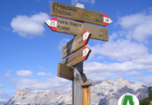 LIFT 2021-2022 – Avviso Azione di Sistema Orientamento al Lavoro Cartelli per orientarsi sui sentieri di montagna