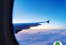 “Sulle ali dell’inclusione”: webinar sull’accessibilità di aeroporti e aerei “Sulle ali dell’inclusione”: webinar sull’accessibilità di aeroporti e aerei