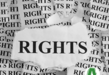 Disabilità e Unione Europea: un quiz per orientarsi tra i propri diritti