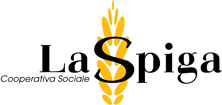 LASPIGA (1)
